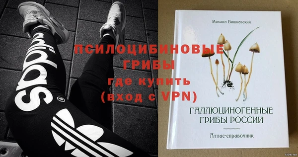 дурь Кукмор