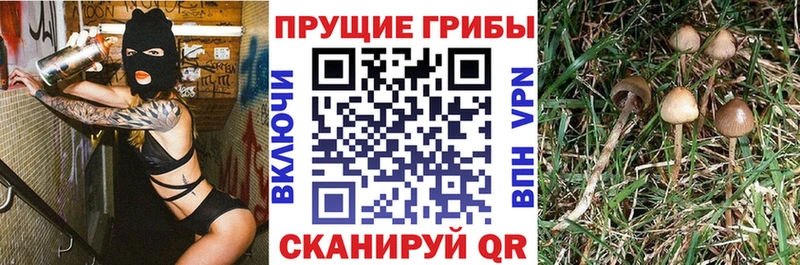 Галлюциногенные грибы ЛСД  блэк спрут зеркало  площадка состав  где можно купить   Мензелинск 